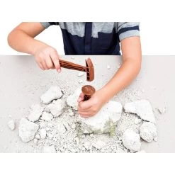 Clementoni Wissenschafts- Und Spiel-Archeo-Spiel – T-Rex Fluo -Spielzeugwelt Verkauf 1010909d