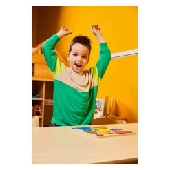 Rolf - Relief-Holzformpuzzle Entdecken Sie Dreiecke, 10 Teile. -Spielzeugwelt Verkauf 1199522h