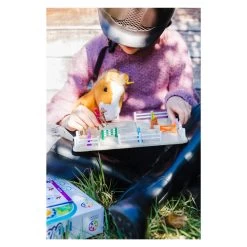 SmartGames Horse Academy -Spielzeugwelt Verkauf 1280216d