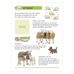 Stickerbuch - Tiere Auf Dem Bauernhof -Spielzeugwelt Verkauf 1530510f