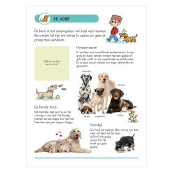 Stickerbuch - Tiere In Haus Und Garten