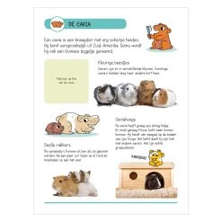 Stickerbuch - Tiere In Haus Und Garten -Spielzeugwelt Verkauf 1530511f