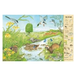 Schau- Und Suchbuch – Im Feld