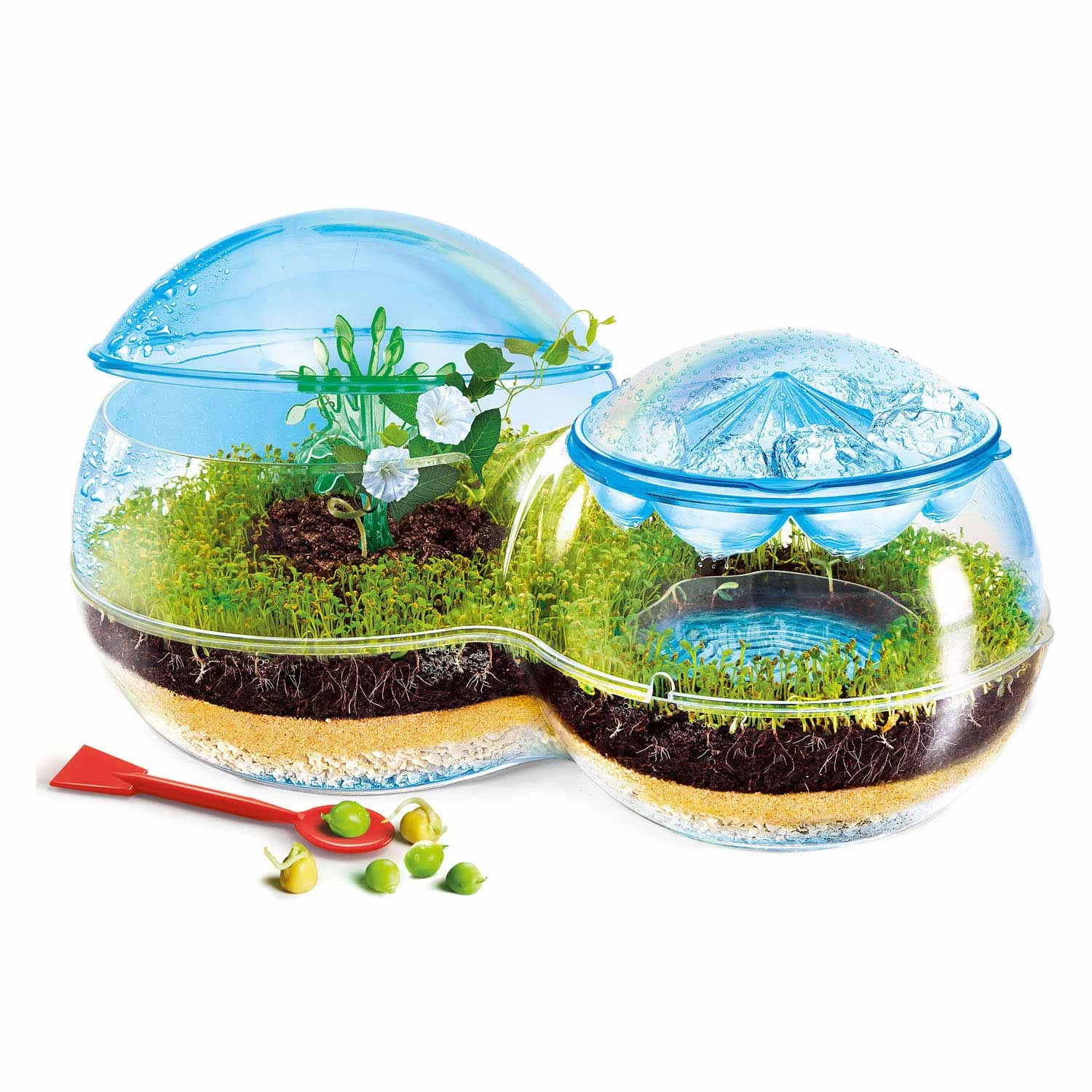 Clementoni Science & Games – Biosphäre 4 Clementoni Science & Games – Biosphäre – Bild 2