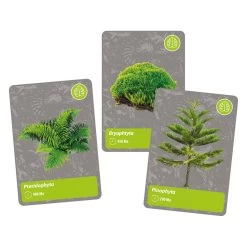 Clementoni Science And Games – Geschichte Des Lebens Auf Der Erde -Spielzeugwelt Verkauf 2320933e