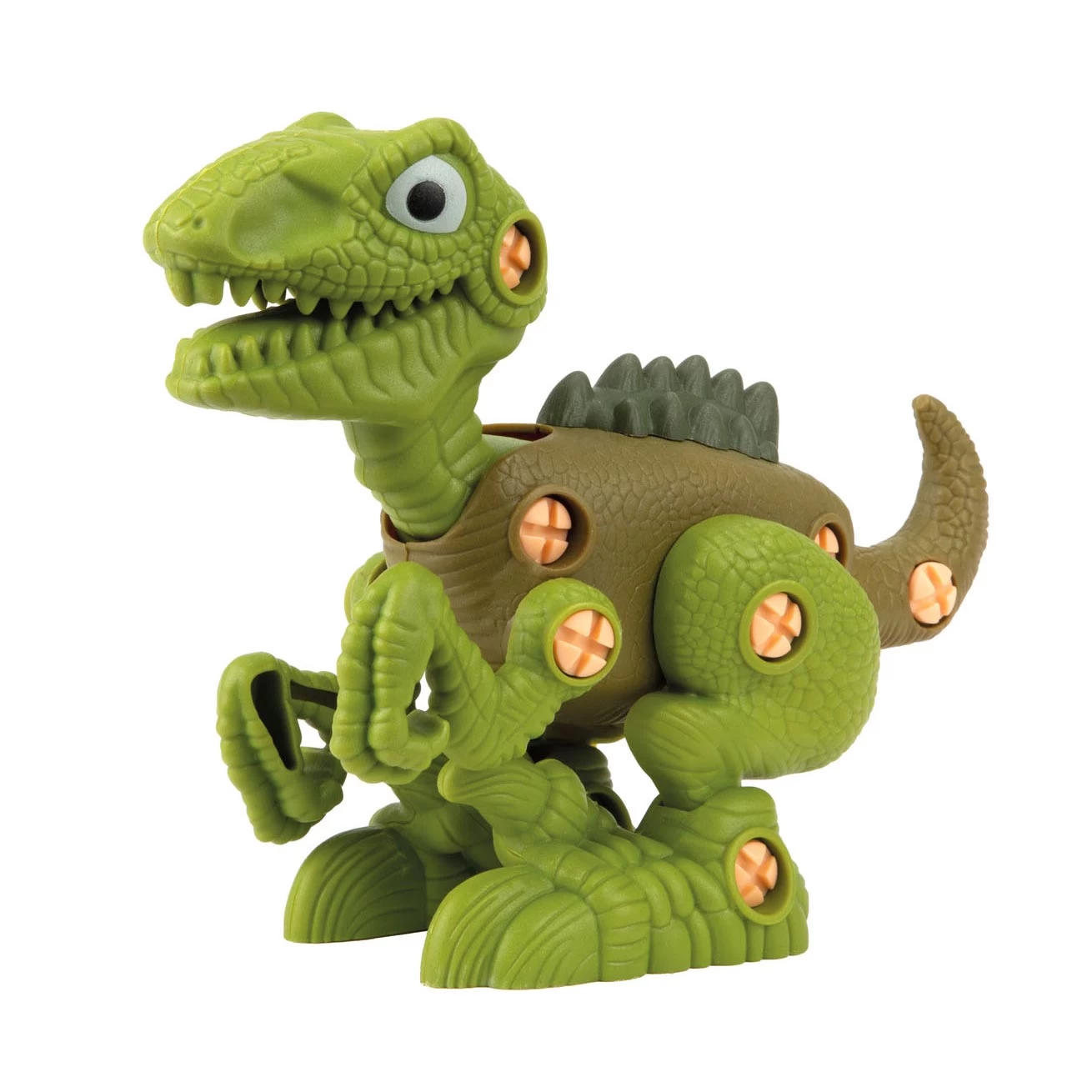 World Of Dinosaurs Baue Einen Dino 8 World Of Dinosaurs Baue Einen Dino – Bild 6