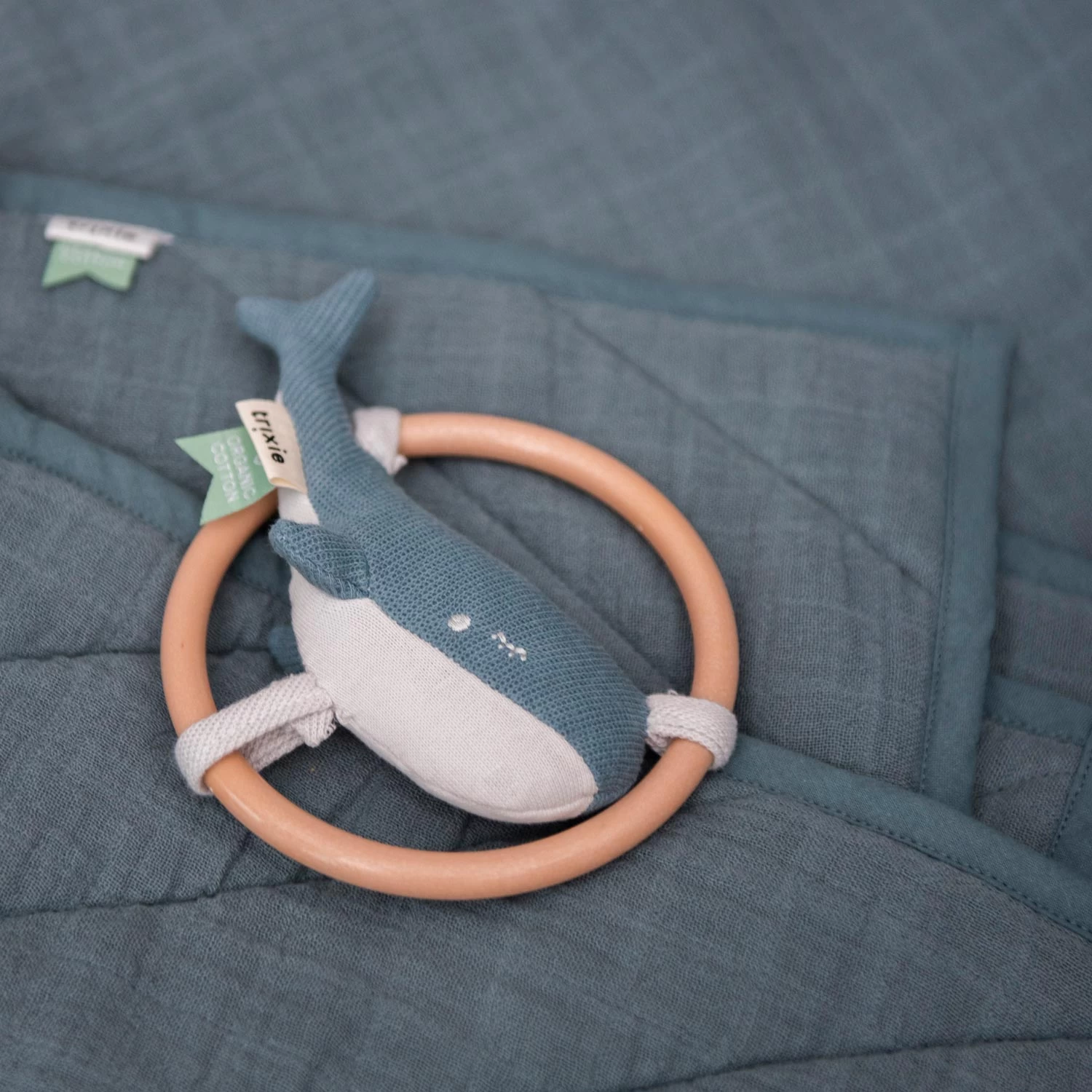 Trixie Rassel - Wal 4 Trixie Rassel - Wal – Bild 2