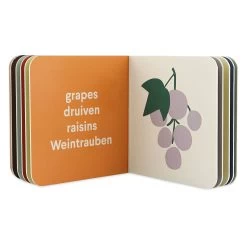 Trixie Kleine Bibliothek – Kleidung, Obst, Fahrzeuge, Instrumente -Spielzeugwelt Verkauf 2610405h