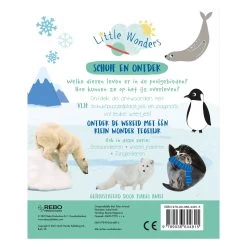 Arktische Tiere – Rutschen Und Entdecken