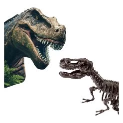 SES Explore Dino And Skeleton Dig 2in1 – T-Rex -Spielzeugwelt Verkauf 3310911d