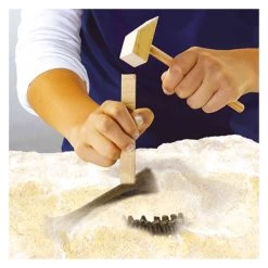 SES Explore Dino And Skeleton Dig 2in1 – T-Rex -Spielzeugwelt Verkauf 3310911e