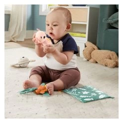 Fisher Price So Many Senses Geschenkset -Spielzeugwelt Verkauf 4583145h