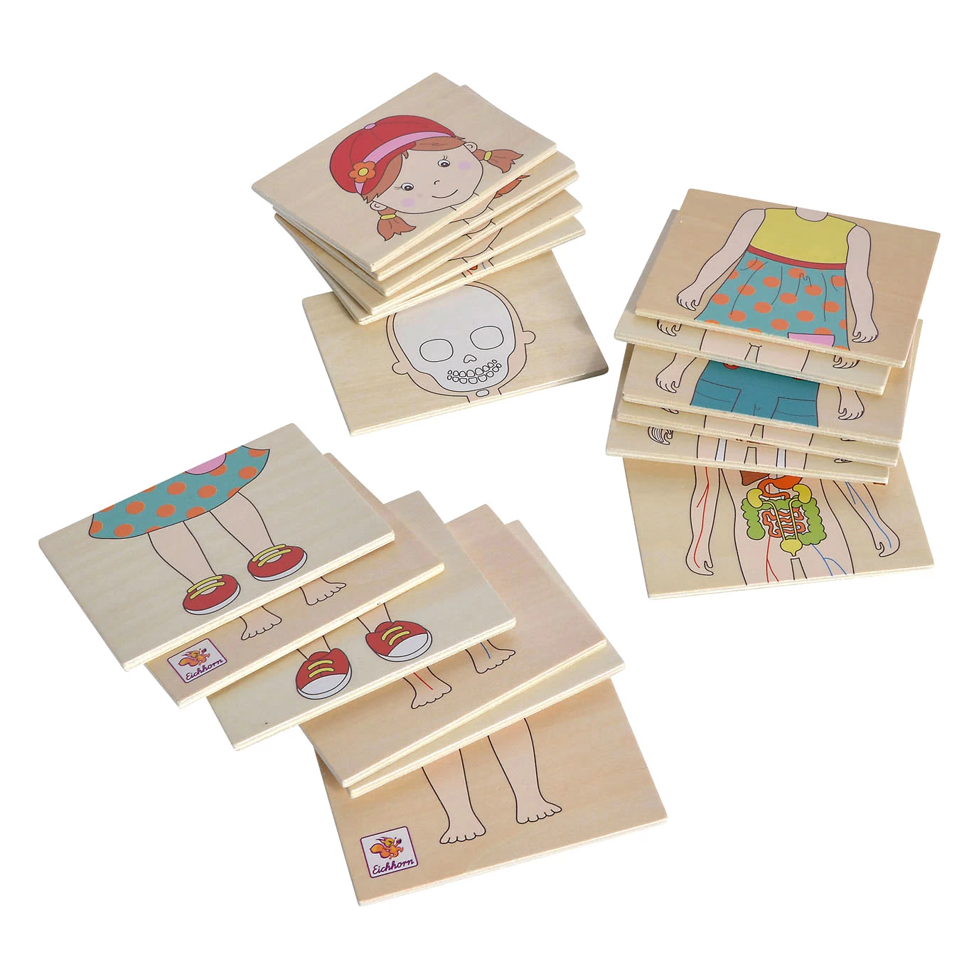 Eichhorn Holzkörperpuzzle, 19 Teile. 4 Eichhorn Holzkörperpuzzle, 19 Teile. – Bild 2