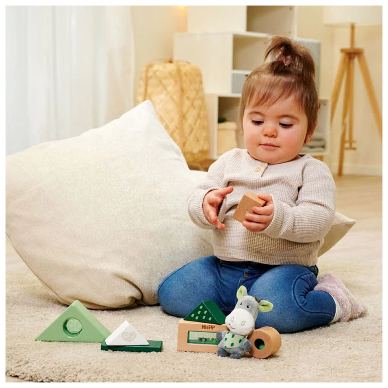 Eichhorn Baby Hipp Klangbausteine aus Holz Mit Esel-Plüschtier 4 Eichhorn Baby Hipp Klangbausteine aus Holz Mit Esel-Plüschtier – Bild 2