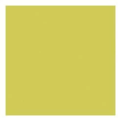 Creativ Company Textilfarbe, Deckende Textilfarbe – Kiwi, 50 Ml