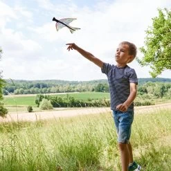Haba Terra Kids – Katapultflugzeug -Spielzeugwelt Verkauf 6050568f